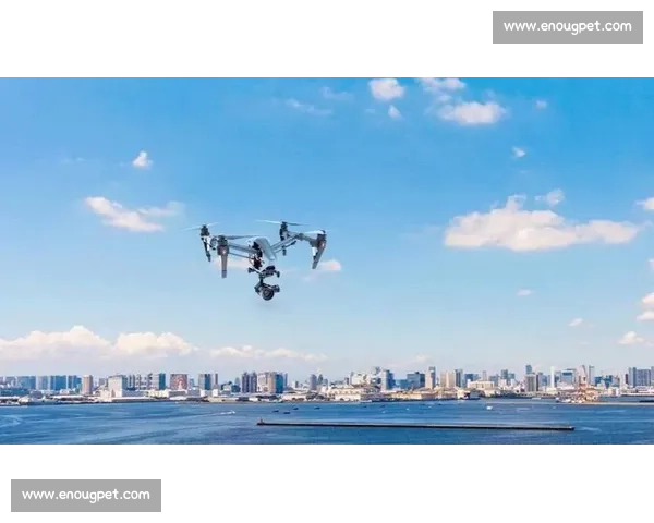 京津冀首秀！廊坊无人机双赛圆满落幕 科技竞技燃动低空经济