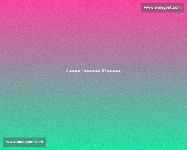 C 罗逆生长神话!40 岁再获足坛顶薪,日薪 48.8 万镑冲击千球里程碑 C 罗逆生长神话!40 岁再获足坛顶薪,日薪 48.8 万镑冲击千球里程碑