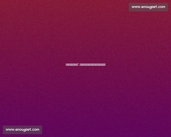 克瓦拉茨赫利亚:C 罗是英雄,但梅西的足球来自另一个维度 克瓦拉茨赫利亚:C 罗是英雄,但梅西的足球来自另一个维度