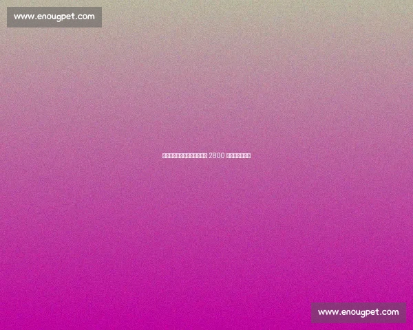 伯恩茅斯与维拉竞逐博洛尼亚 2800 万欧中卫卢库米 伯恩茅斯与维拉竞逐博洛尼亚 2800 万欧中卫卢库米