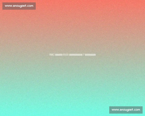 RMC 独家:切尔西 6500 万欧锁定多特妖星吉滕斯 7 年长约打造未来核心 RMC 独家:切尔西 6500 万欧锁定多特妖星吉滕斯 7 年长约打造未来核心