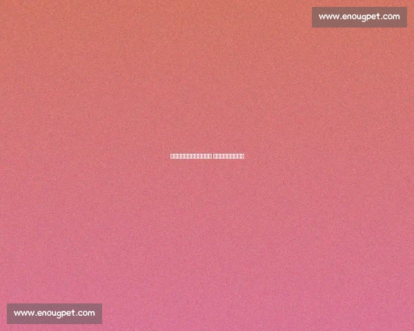 周通:国足惨败难积累经验 世俱杯经历刻骨铭心 周通:国足惨败难积累经验 世俱杯经历刻骨铭心