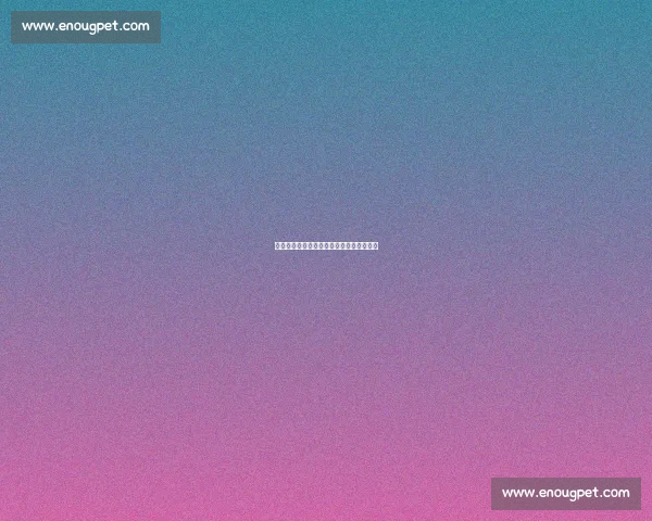 双面困局:张本智和的乒乓代价与身份博弈 双面困局:张本智和的乒乓代价与身份博弈