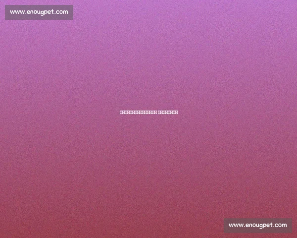 中国马术冠军杯赛邯郸站燃情启幕 顶级赛事点亮古城