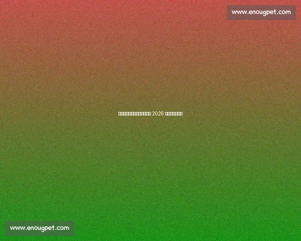 加图索回归执教!意大利剑指 2026 世界杯重生之路 加图索回归执教!意大利剑指 2026 世界杯重生之路