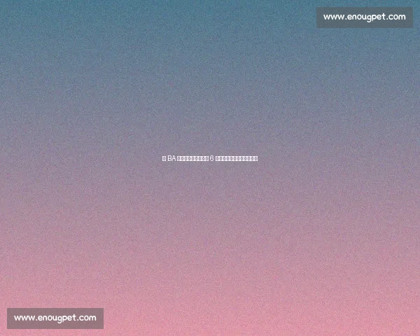 浙 BA 首赛段引爆经济引擎 6 亿消费激活全域文旅新图景