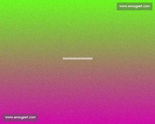 布伦特福德瞄准瓦塔拉,维萨转会纽卡进入关键阶段 布伦特福德瞄准瓦塔拉,维萨转会纽卡进入关键阶段