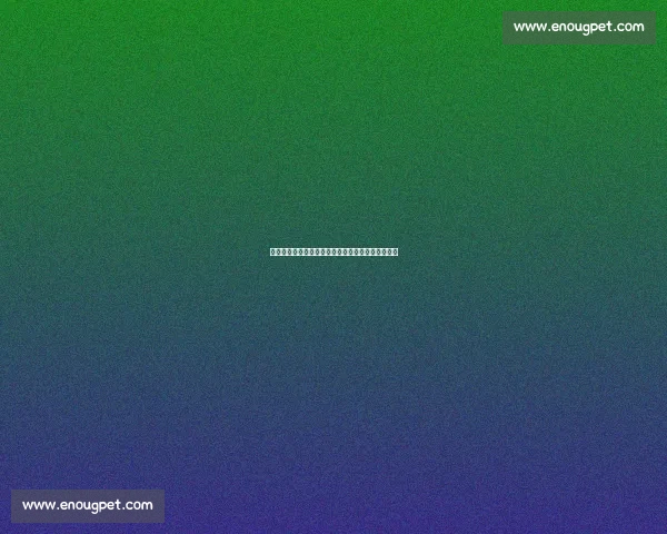 替补奇兵!约书亚・万爆冷终结罗伊瓦尔冠军挑战梦