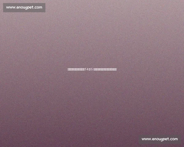 狼队官宣买断挪威锋霸!14 球 5 助创队史纪录,新核率队剑指欧战