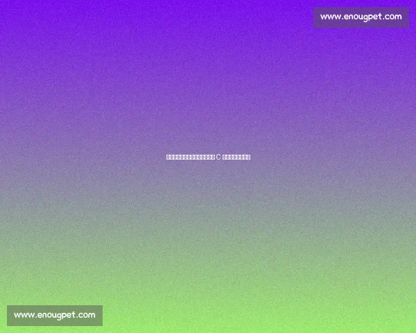 女裁判首执法尤文世俱杯!曾吹 C 罗沙特德比成焦点 女裁判首执法尤文世俱杯!曾吹 C 罗沙特德比成焦点