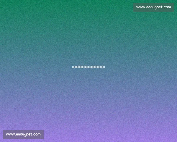 安东内利头盔视角：首圈追尾维斯塔潘瞬间全记录