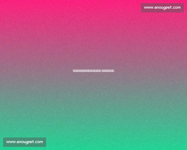 毕巴门将阿吉雷萨瓦拉租借加盟瓦伦西亚 含非强制买断条款