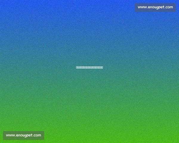 山东锁定深圳全能卫!新疆争冠再遇劲敌 山东锁定深圳全能卫!新疆争冠再遇劲敌