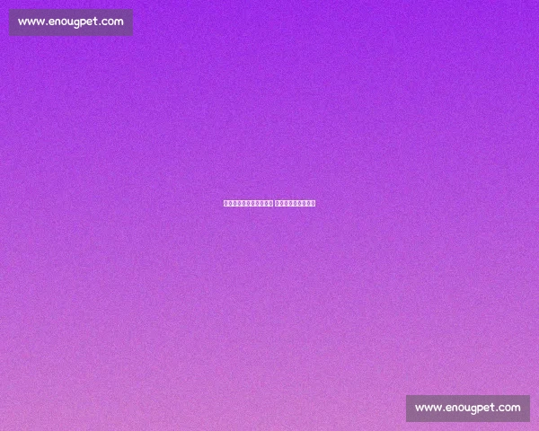 曝卡兰加离队进入倒计时 英博夏窗引援陷迷局