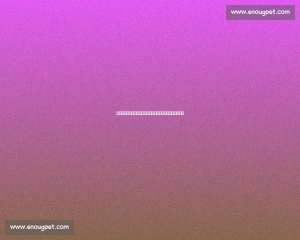 瓜帅女儿现场见证父亲与马宁争执,英超最美星二代身材吸睛