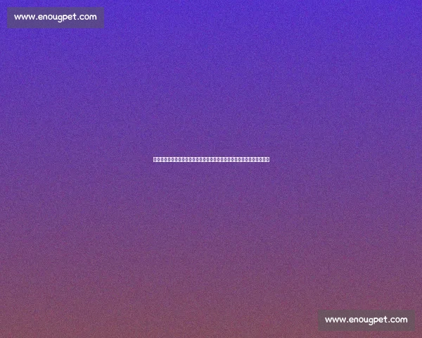 捏脸送礼物引热议!孙颖莎拖鞋骤变暗藏玄机?国乒搭档关系再掀舆论波澜