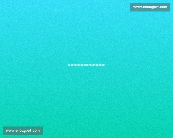 巴萨众将力挺特狮留任队长 集体发声捍卫更衣室自治传统