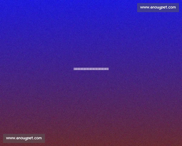 湖人百亿新主首考:詹姆斯补强与盈利平衡的生死局