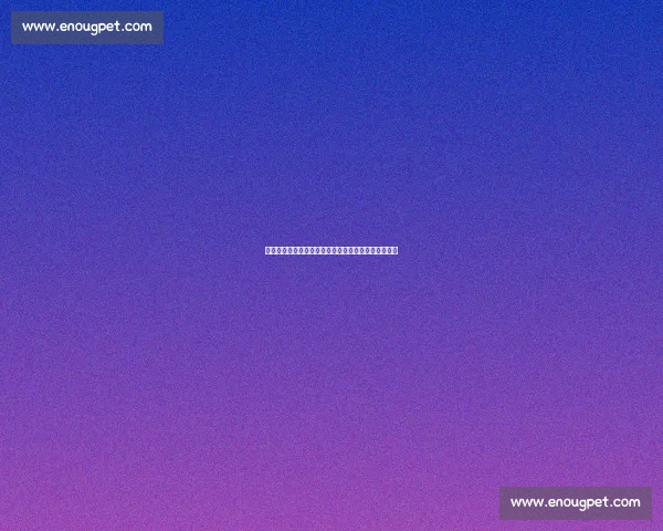 德弗赖：世俱杯失利敲响警钟，新教练磨合带来新希望