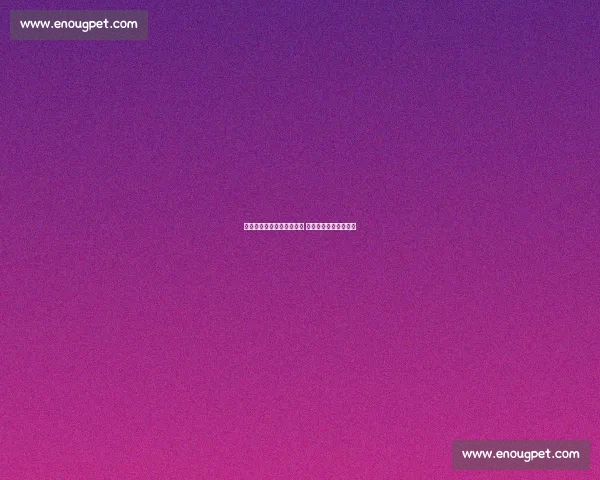 洪州大桥见证万人双向奔赴 南昌夜跑点燃全城热恋