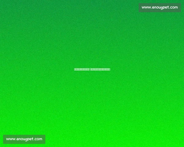 瓜迪奥拉现身美网决赛 见证西班牙新星重返世界第一