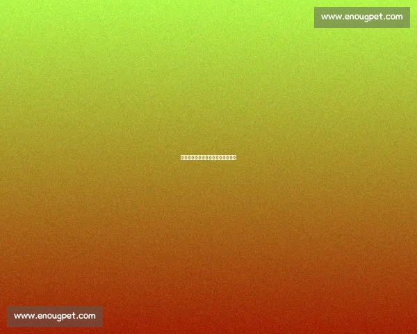 微光成炬：平凡岁月里的坚持与绽放