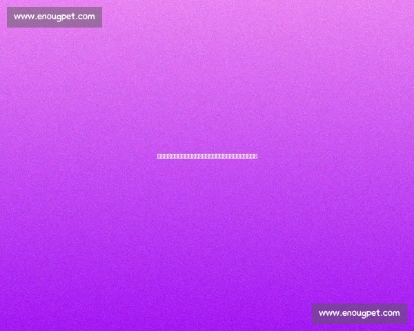 图库曼主场迎战竞技豪门对决南美赛场焦点之夜前瞻实力碰撞解析