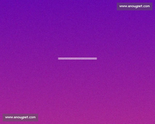 伊比利亚德比再燃世界杯舞台西班牙对决葡萄牙荣耀之战巅峰对抗夜