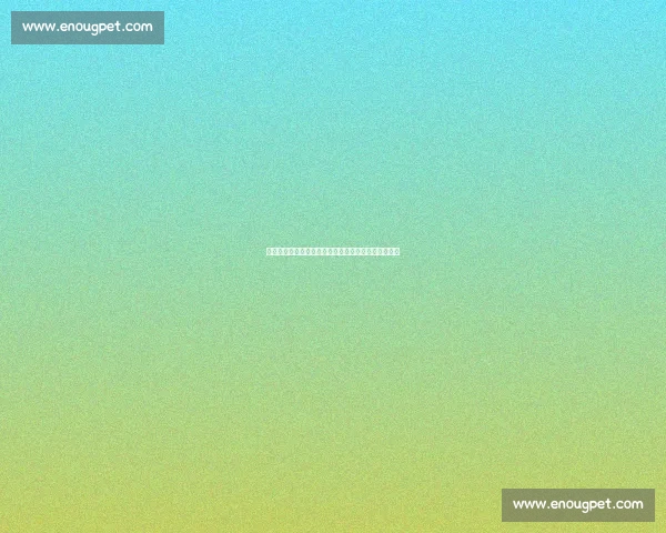 利物浦迎战曼城：英超豪强巅峰对决，谁能笑到最后？