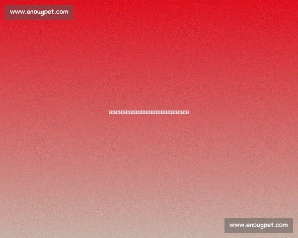 公牛对决独行侠青春与老将碰撞引爆赛场悬念之夜联盟焦点大战战术博弈