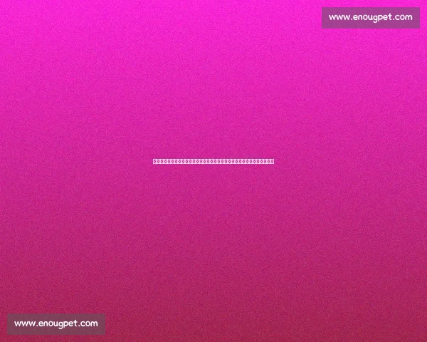 京浙强强对话引爆赛场北京队迎战浙江队争夺胜势焦点之夜战术博弈悬念升级