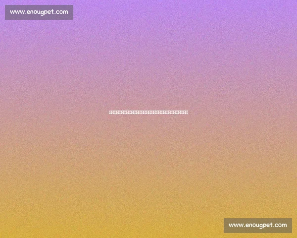 叙利亚对阵卡塔尔直播焦点解析与赛事前瞻全看点阵容战术走势深度解读