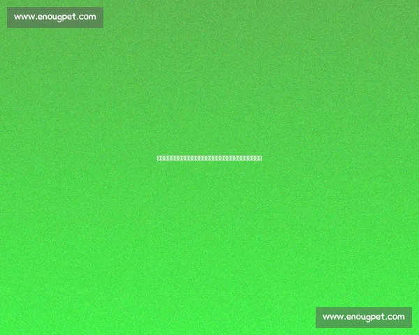 巅峰对决戈洛夫金迎战库托引爆拳坛历史之夜世界中量级荣耀争霸战