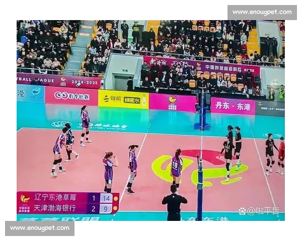 天津女排与辽宁女排激战再现巅峰对决点燃赛季热血激情让球迷热泪盈眶