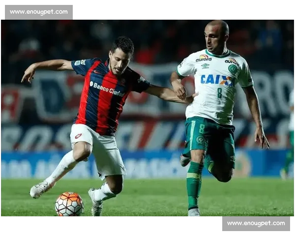 美国对阵巴西足球热身赛前瞻与阵容看点解析战术较量与新星表现观察