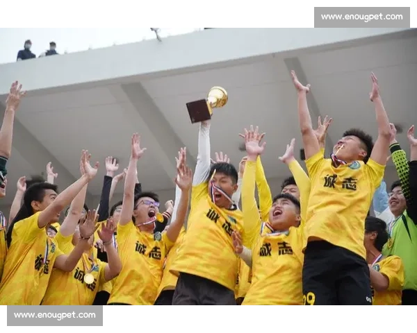 沙特对阵埃及的强强对话揭示西亚与北非足球风云变幻赛场博弈全景