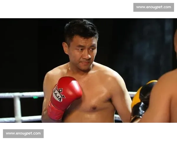 武林风巅峰对决一龙再战王洪祥江湖终极之战王者传奇再现风云录