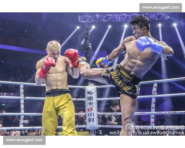 周志鹏擂台激战一龙引爆武林风争议与实力对决背后的真实差距 周志鹏擂台激战一龙引爆武林风争议与实力对决背后的真实差距