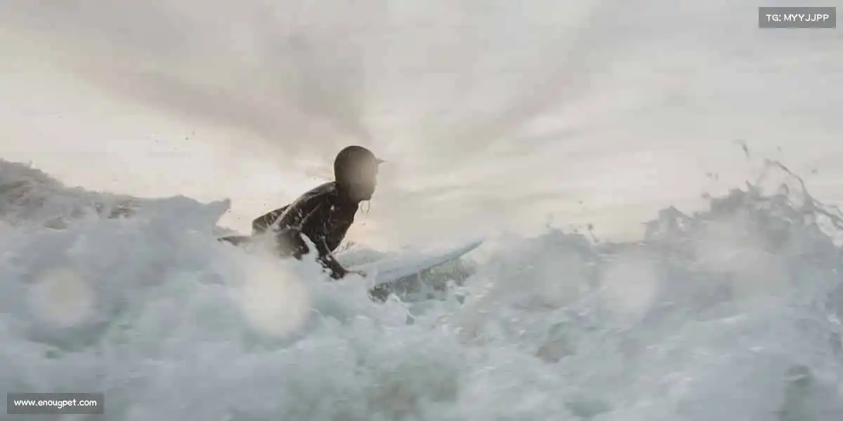 米兰官网🏊‍♀️在浪潮中破浪，在赛道上追风，运动即自由！