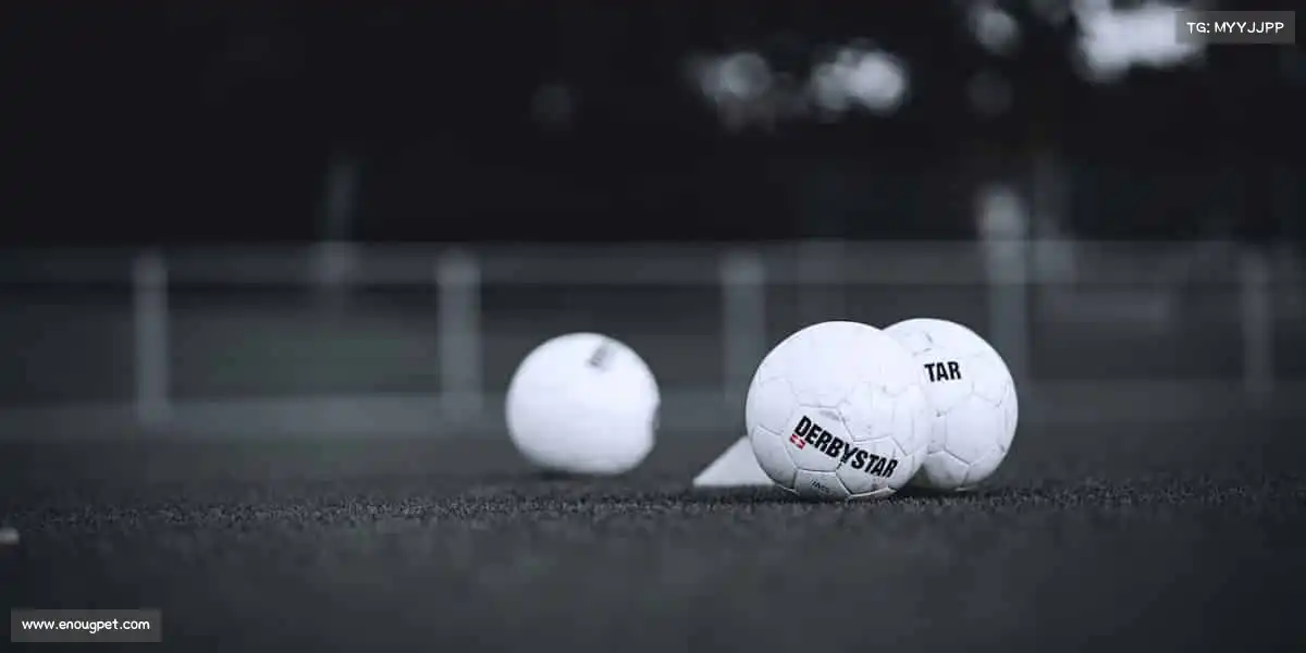 为什么选择我们